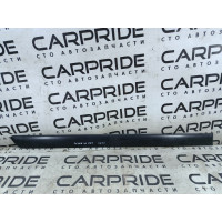 Зовнішній молдинг дверки