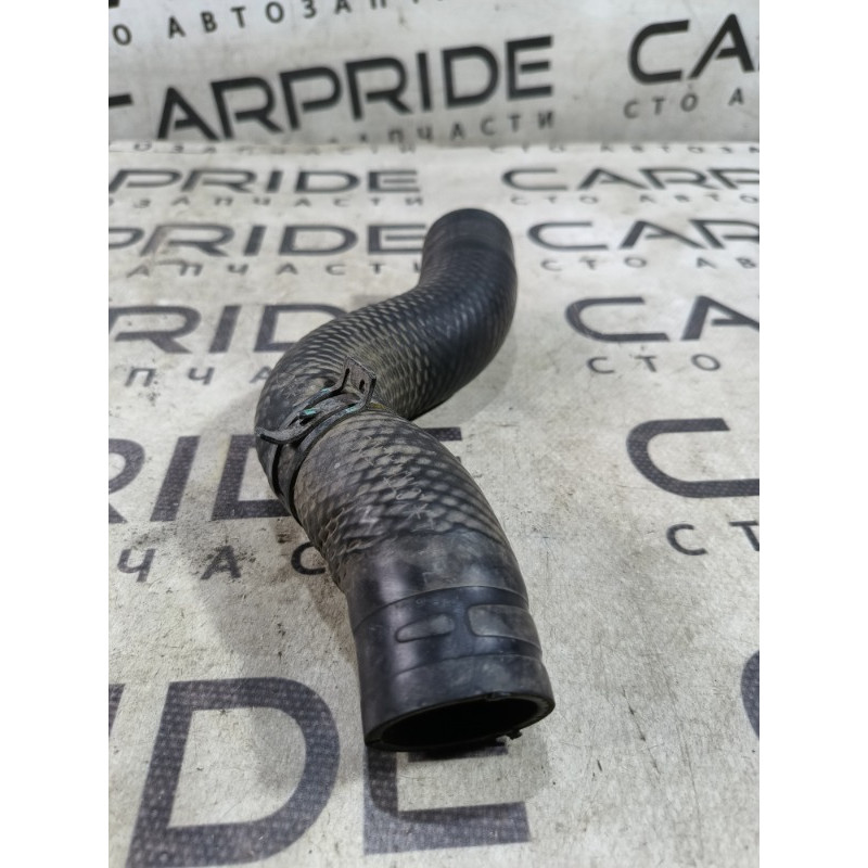 Патрубок (система охлаждения) RENAULT Koleos HY 2008 2.0 215033619R