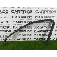 Внутрішня накладка двері