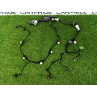 Проводка дверная