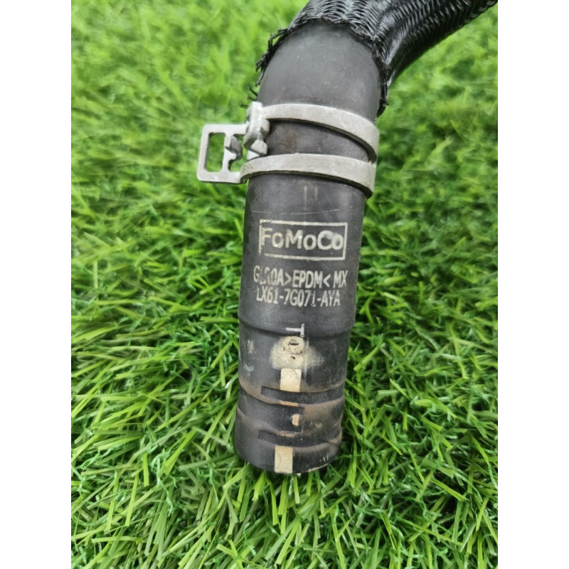 Патрубок (система охлаждения) Ford ESCAPE MK4 2020 1.5 LX6Z7890B