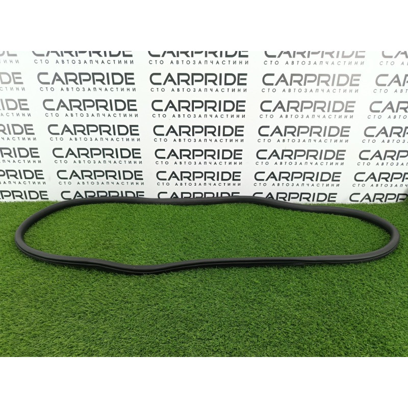 Уплотнитель проема двери (кузов и элементы) Ford ESCAPE MK4 2020 1.5 LJ6Z7820708C