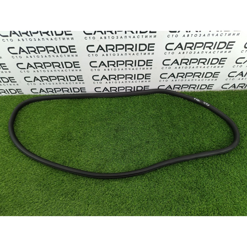 Уплотнитель проема двери (кузов и элементы) Ford ESCAPE MK4 2020 1.5 LJ6Z7820708C