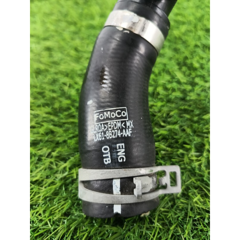 Патрубок (система охлаждения) Ford ESCAPE MK4 2020 1.5 LX6Z8260J