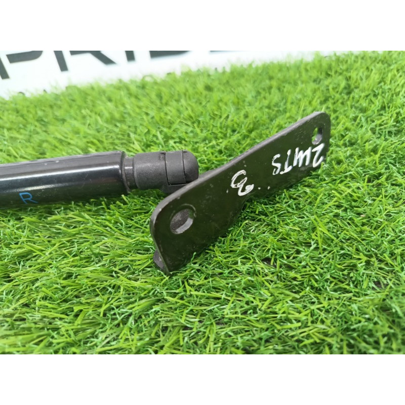 Амортизатор багажника (кузов і елементи) Mitsubishi Outlander GM4W 2022 2.50 5802a674