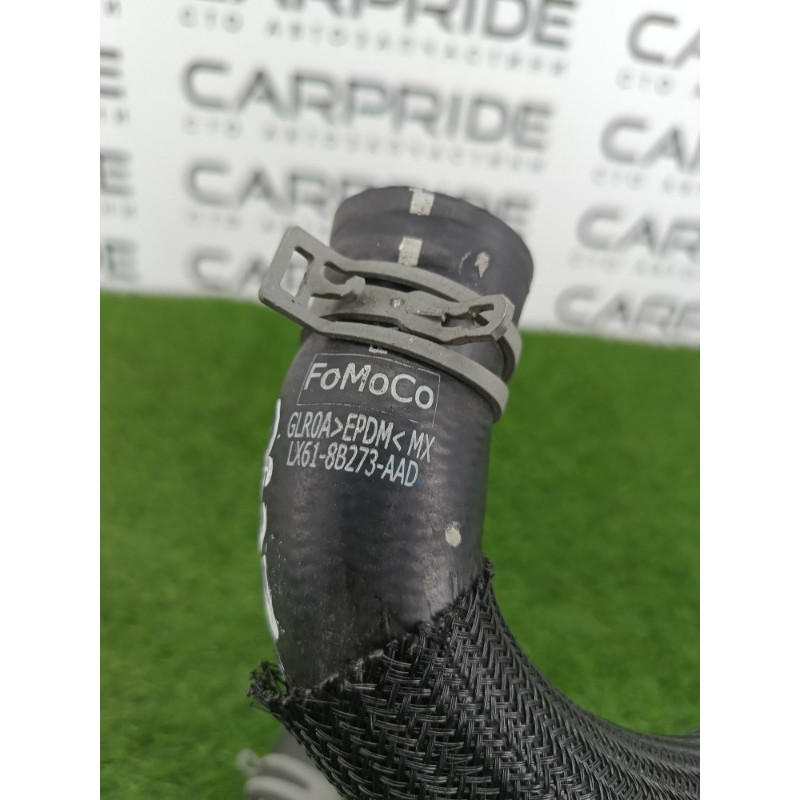 Патрубок (система охлаждения) Ford ESCAPE MK4 2020 1.5 lx618b273aad