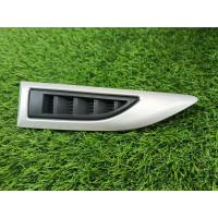 Молдинг крыла