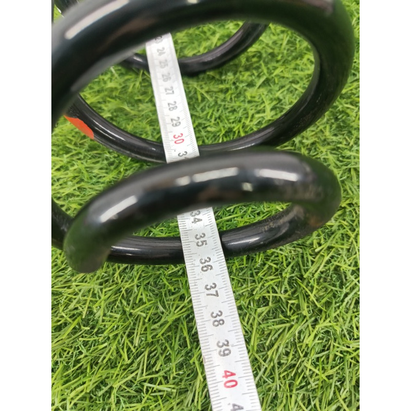 Пружина подвески (подвеска) Ford Ecosport B515 2018 1.0L GN1Z5560C