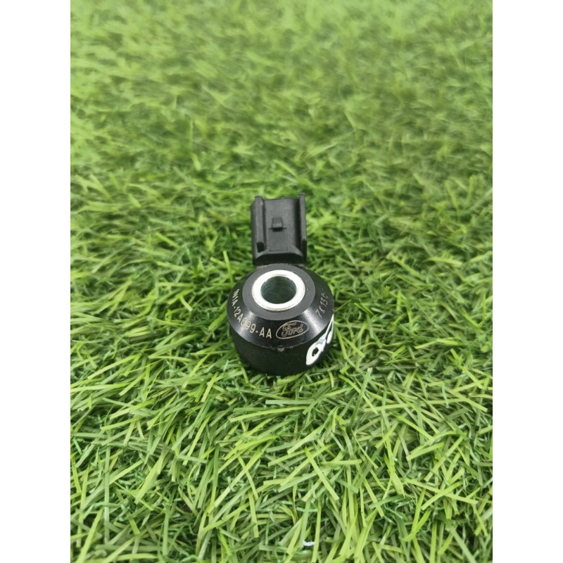 Датчик детонации (электрика двигателя) Ford Ecosport B515 2018 1.0L 1n1a12a699aa