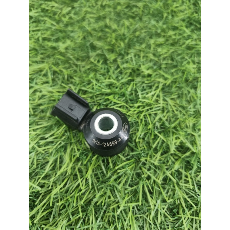 Датчик детонации (электрика двигателя) Ford Ecosport B515 2018 1.0L 1n1a12a699aa