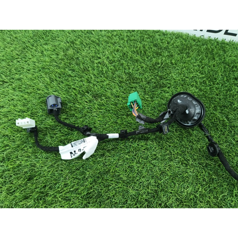 Проводка дверна (електрика) Ford ESCAPE MK4 2020 1.5 LX6Z14633E