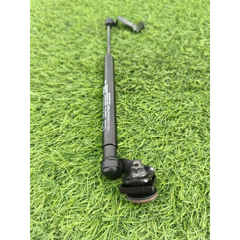 Амортизатор багажника (кузов и элементы) Chevrolet Captiva C140 2011 2.2 D (z22d1) 96861594