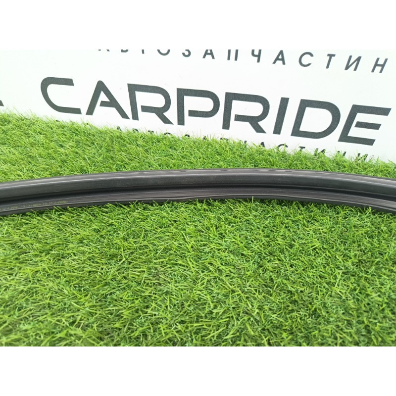 Уплотнитель проема двери (кузов и элементы) Chevrolet Captiva C140 2011 2.2 D (z22d1) 95061127