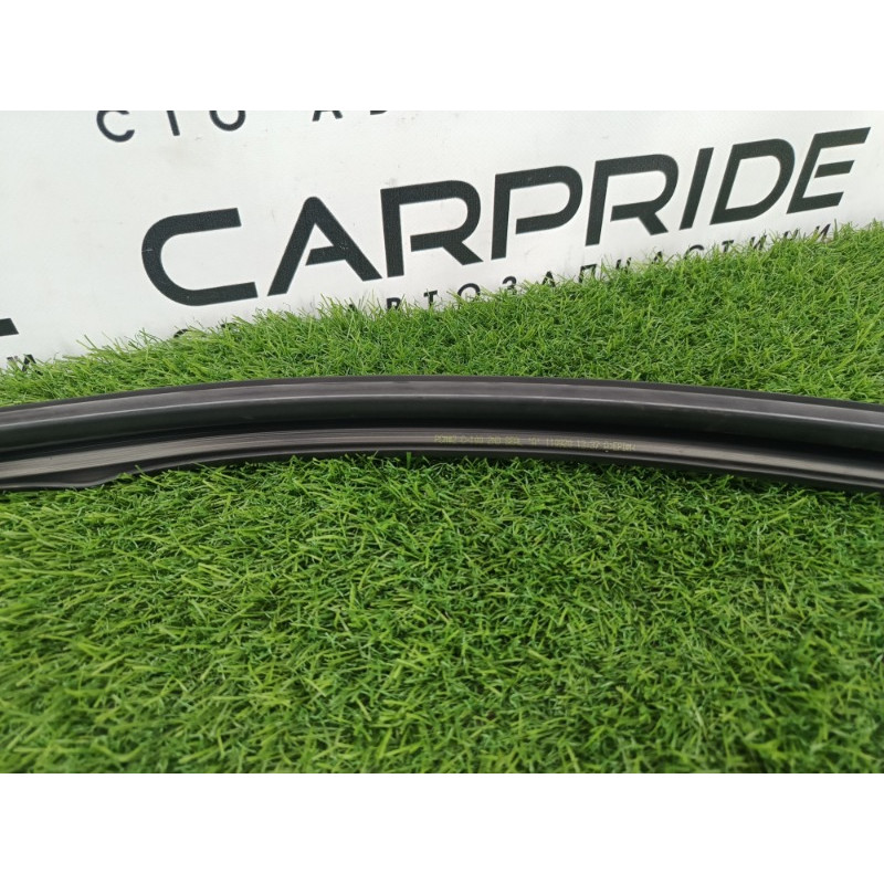 Уплотнитель проема двери (кузов и элементы) Chevrolet Captiva C140 2011 2.2 D (z22d1) 95061127