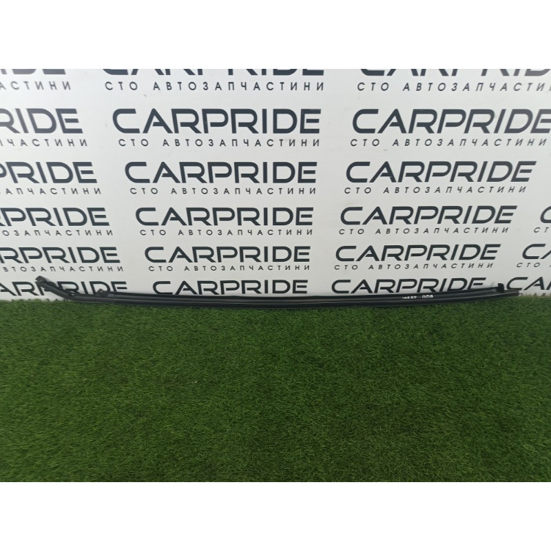 Уплотнитель проема двери (кузов и элементы) Chevrolet Captiva C140 2011 2.2 D (z22d1) 95061128