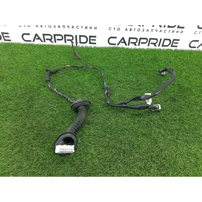 Проводка дверная (электрика) Nissan Almera B10 2008 1,6 QG16 2412495F0D