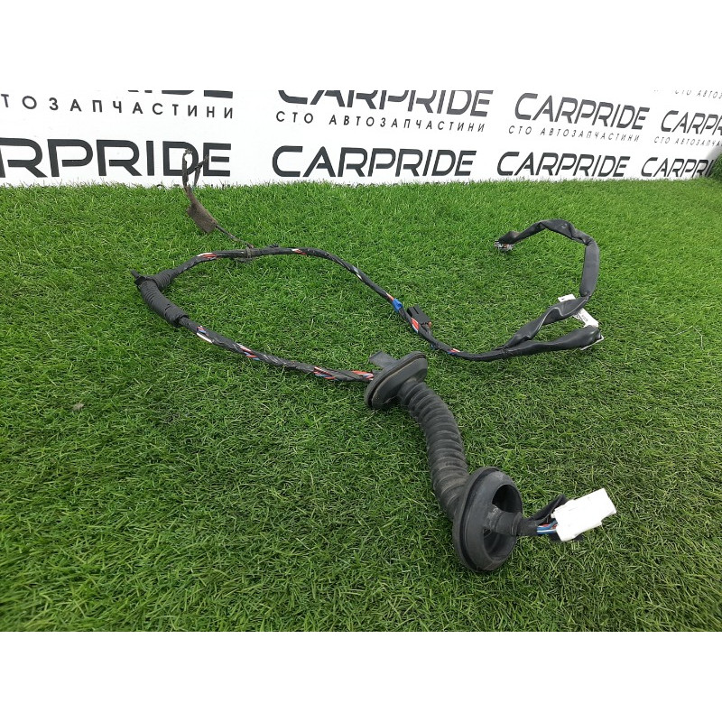 Проводка дверная (электрика) Nissan Almera B10 2008 1,6 QG16 2412495F0D