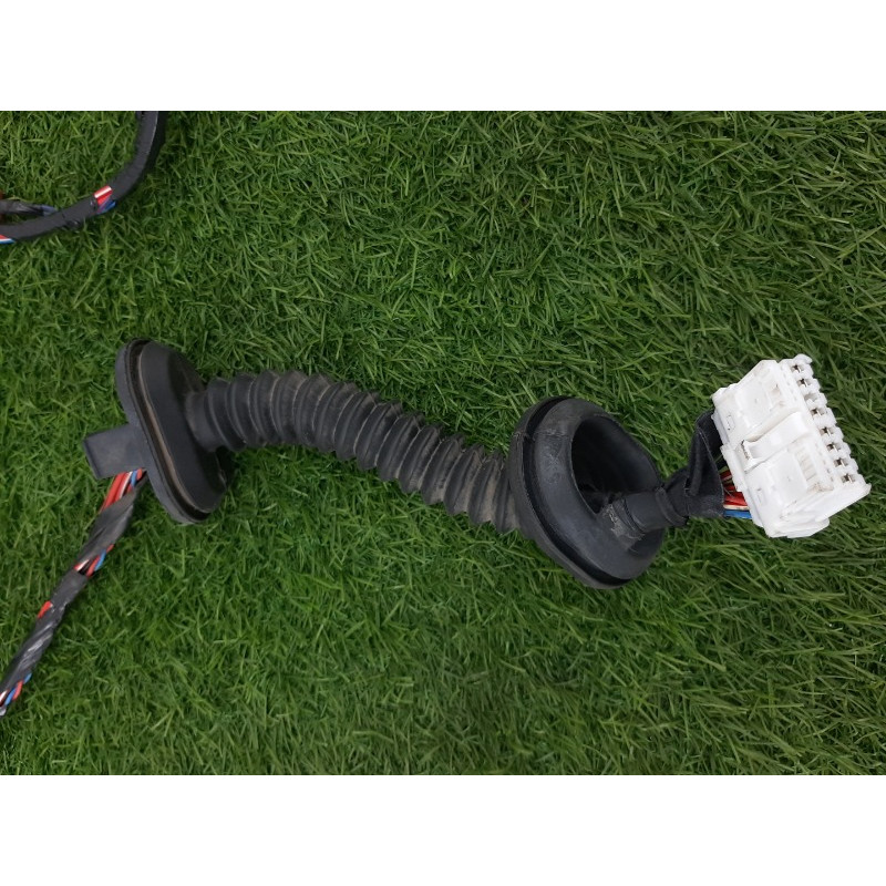 Проводка дверная (электрика) Nissan Almera B10 2008 1,6 QG16 2412495F0D