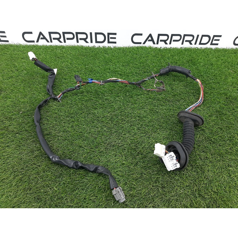 Проводка дверная (электрика) Nissan Almera B10 2008 1,6 QG16 2412595F0F