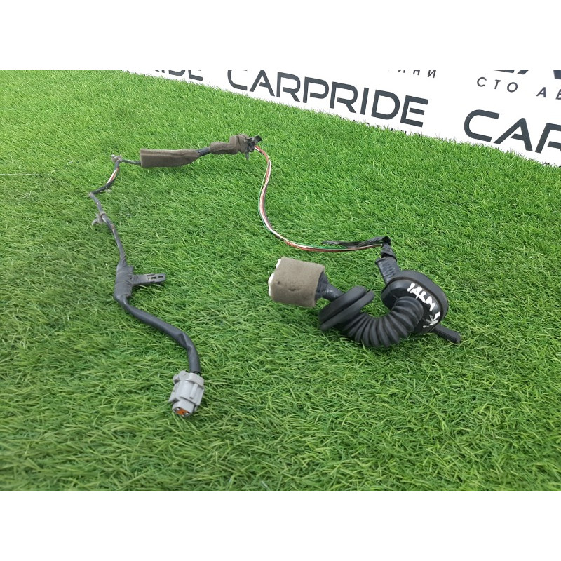 Проводка дверная (электрика) Nissan Almera B10 2008 1,6 QG16 2423795F0C