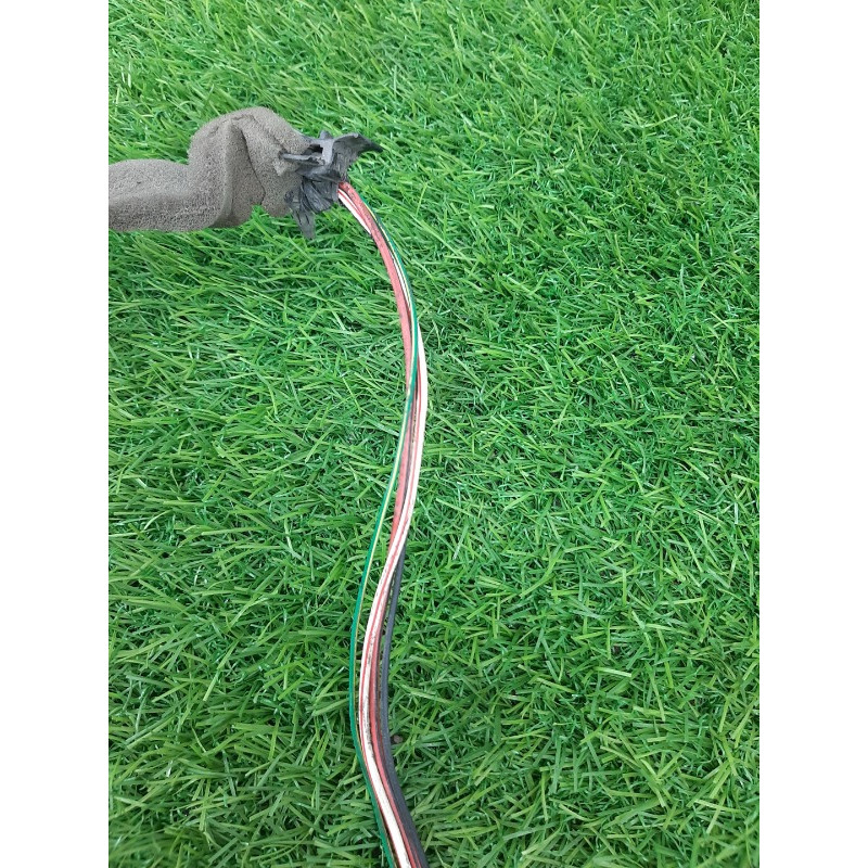 Проводка дверная (электрика) Nissan Almera B10 2008 1,6 QG16 2423795F0C