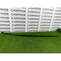 Молдинг крыши