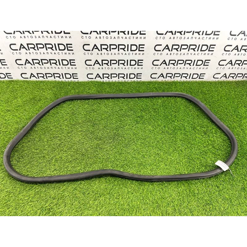 Ущільнювач дверей (кузов і елементи) CHEVROLET Volt 1 2012 1.4