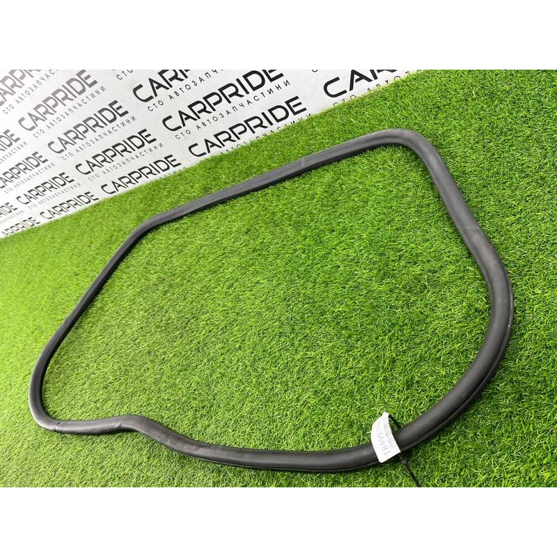 Ущільнювач дверей (кузов і елементи) CHEVROLET Volt 1 2012 1.4