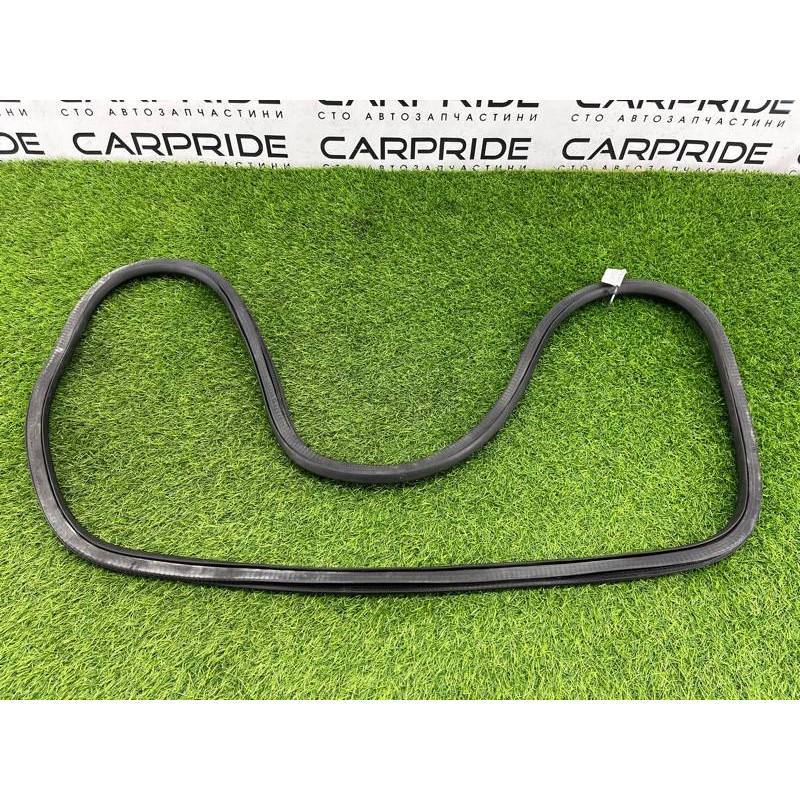 Ущільнювач дверей (кузов і елементи) CHEVROLET Volt 1 2012 1.4