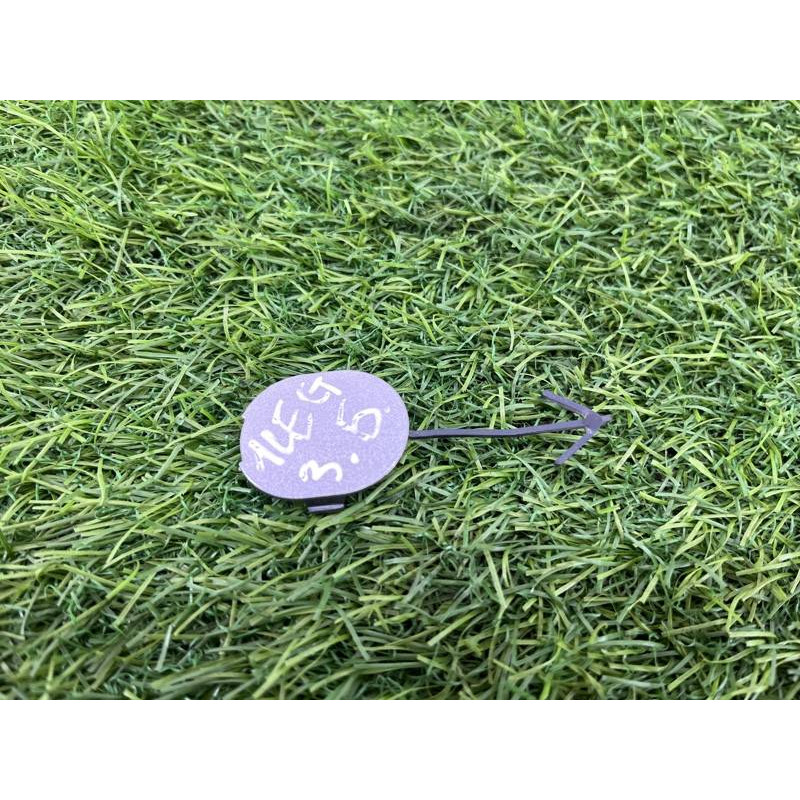 Заглушка бампера (кузов и элементы) Subaru Legacy BN 2016 2.5 57727AL00A