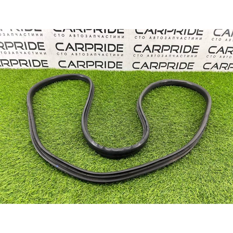 Уплотнитель проема двери (кузов и элементы) Renault Megane 3 2011 1,5 dCi (K9K837) 769240015R