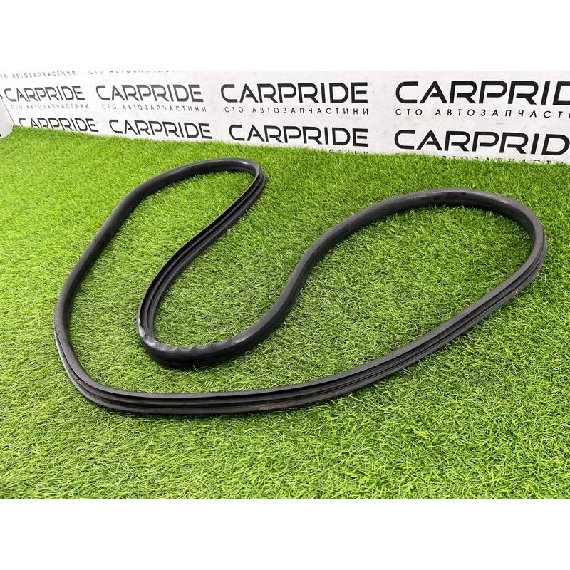 Уплотнитель проема двери (кузов и элементы) Renault Megane 3 2011 1,5 dCi (K9K837) 769240015R