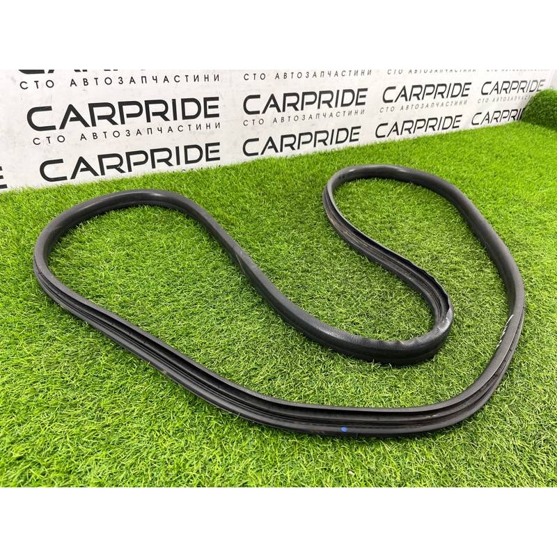 Уплотнитель проема двери (кузов и элементы) Renault Megane 3 2011 1,5 dCi (K9K837) 769240015R