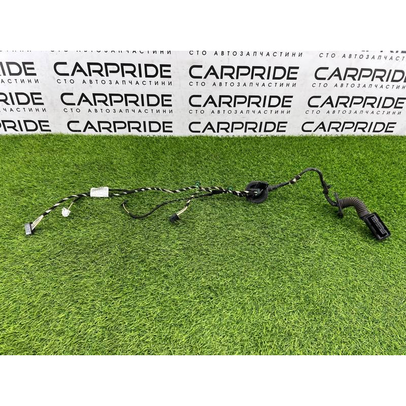 Проводка дверная (электрика) Volkswagen Passat B8 2016 2.0 tdi 3g0971694f