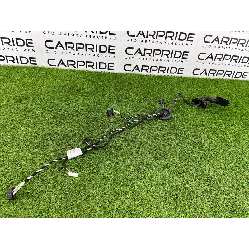 Проводка дверная (электрика) Volkswagen Passat B8 2016 2.0 tdi 3g0971694f