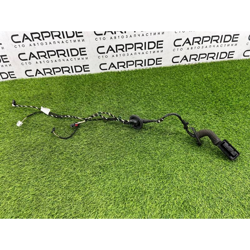 Проводка дверная (электрика) Volkswagen Passat B8 2016 2.0 tdi 3g0971694f