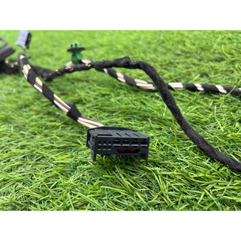 Проводка дверная (электрика) Volkswagen Passat B8 2016 2.0 tdi 3g0971694f