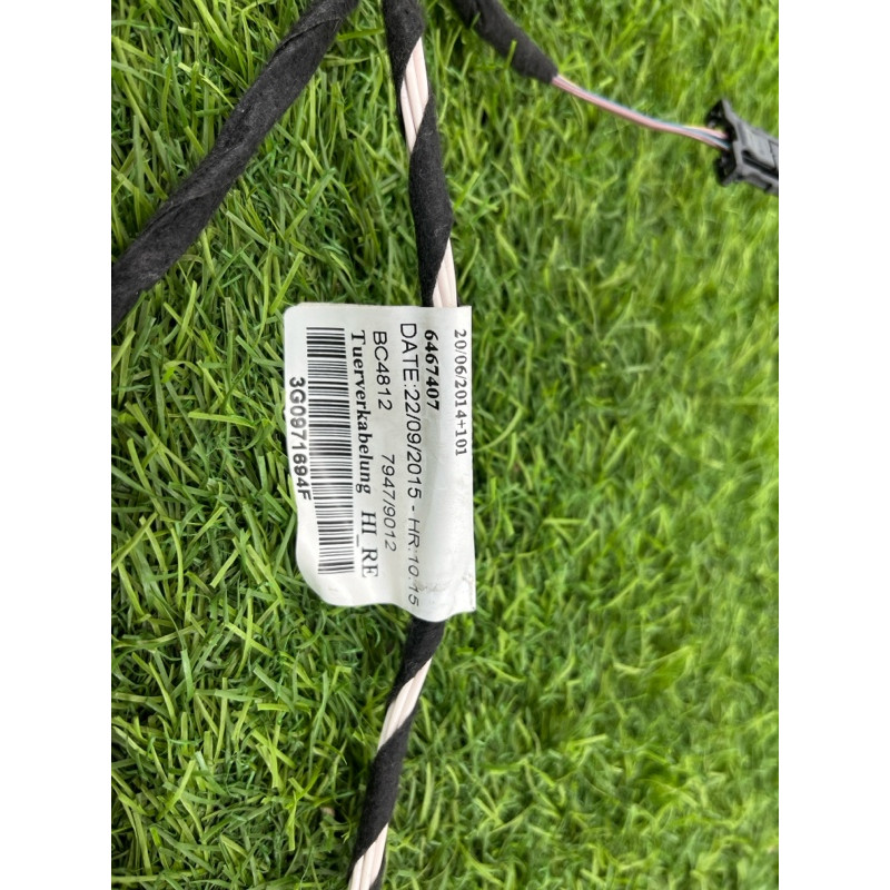 Проводка дверная (электрика) Volkswagen Passat B8 2016 2.0 tdi 3g0971694f