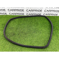 Ущільнювач дверей