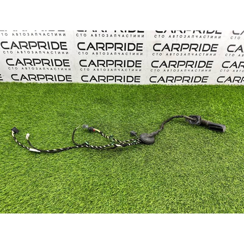 Проводка дверная (электрика) Volkswagen Passat B8 2016 2.0 tdi 3G0971693H