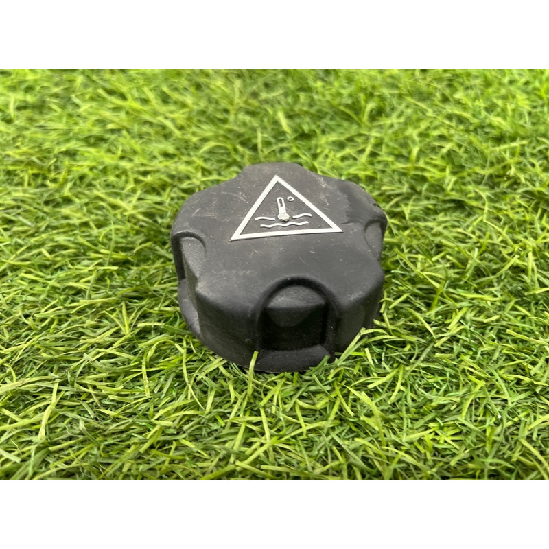 Крышка расширительного бачка (система охлаждения) Mini Cooper R56 R56 2006 17117639024