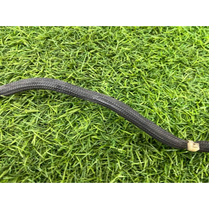 Лямбда зонд (электрика двигателя) Mini Cooper R56 R56 2006 11787548961