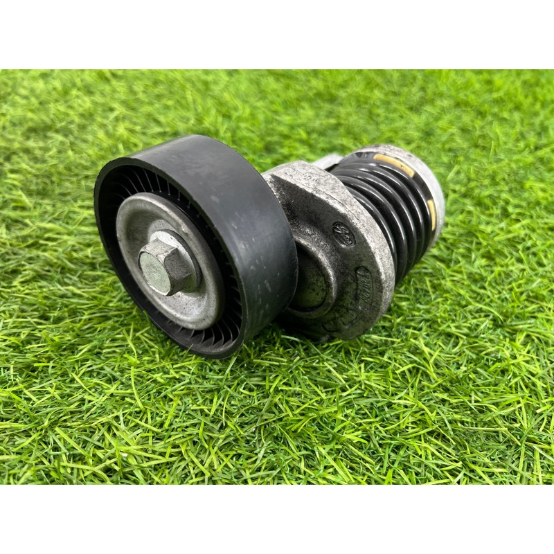 Натяжитель приводного ремня (двигатель и элементы) Volkswagen Amarok 2H 2012 2.0 038903315AN