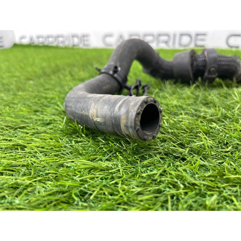 Патрубок (система охлаждения) Ford Ecosport B515 2018 1.0L GN1Z8A567A