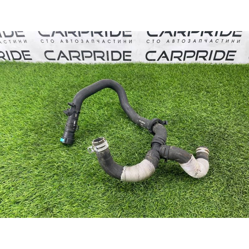 Патрубок (система охлаждения) Ford Ecosport B515 2018 1.0L GN1Z18472T