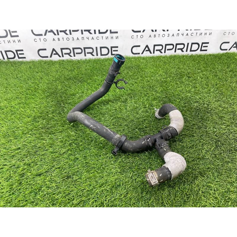 Патрубок (система охлаждения) Ford Ecosport B515 2018 1.0L GN1Z18472T