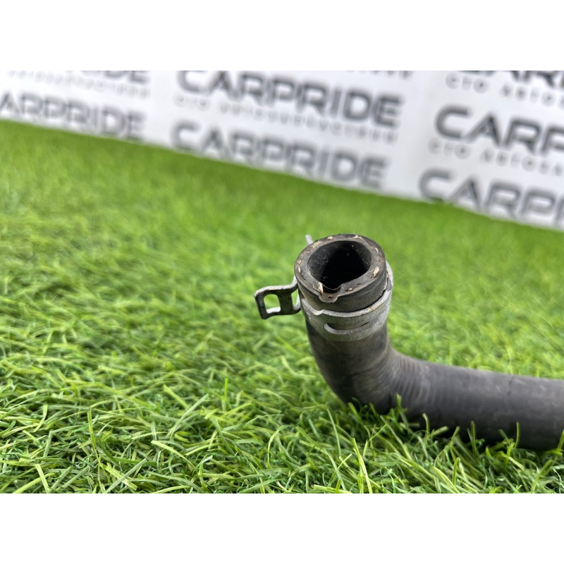 Патрубок (система охлаждения) Ford Ecosport B515 2018 1.0L GN1Z6B851A