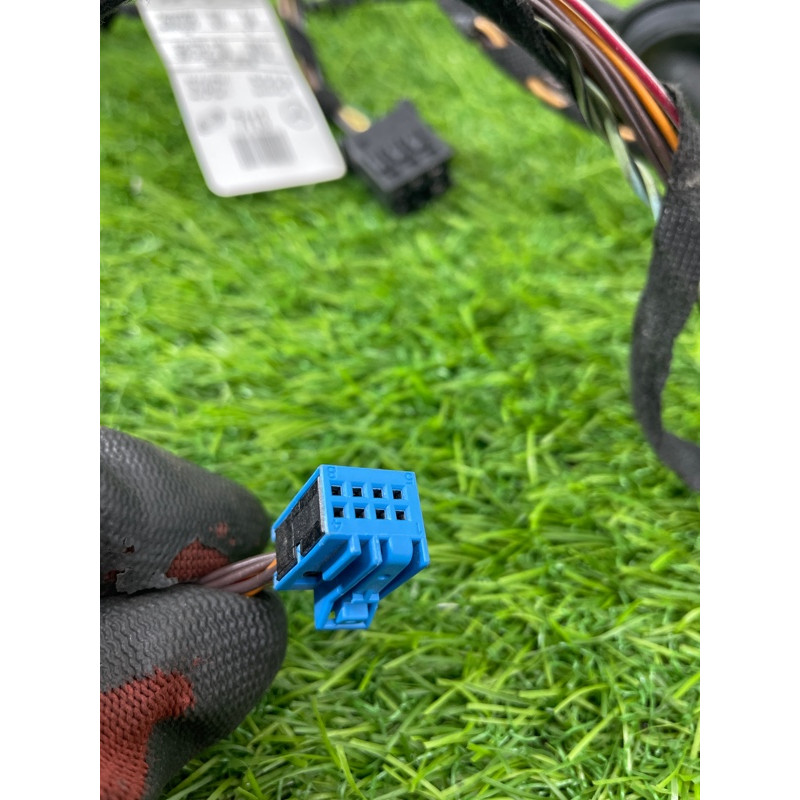 Проводка дверна (електрика) Mercedes-Benz GL X164 2012 4.6 A1644407113