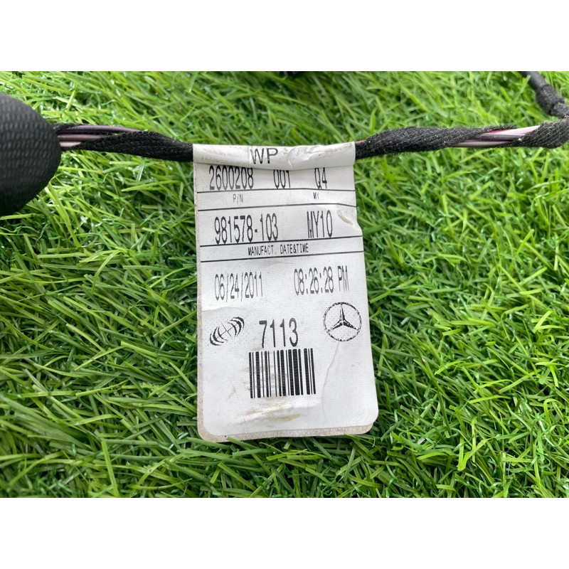 Проводка дверна (електрика) Mercedes-Benz GL X164 2012 4.6 A1644407113