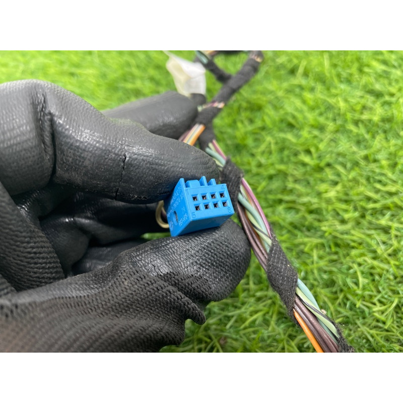 Проводка дверна (електрика) Mercedes-Benz GL X164 2012 4.6 A1644407113